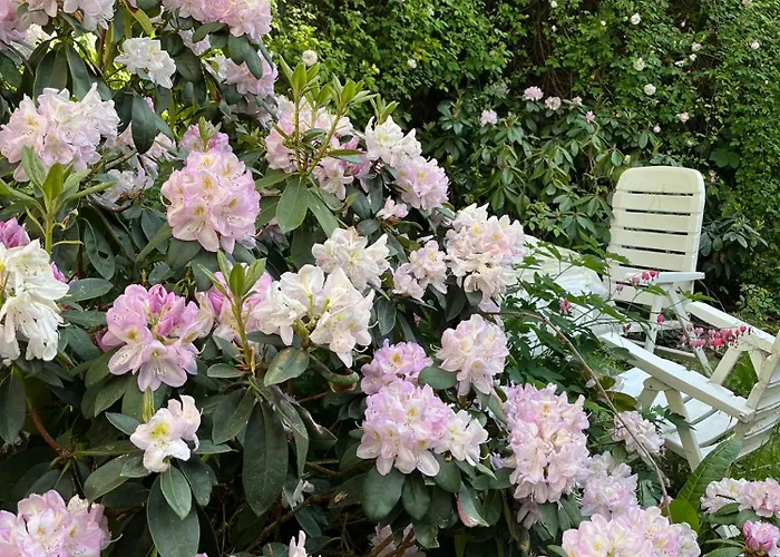 بيت للعطل Im Ehem Rittergut Wurzbach